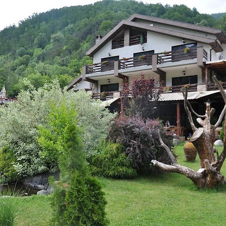Pensiunea Valahia Brezoi Dış mekan fotoğraf